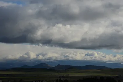 DSC_1029 (Large).JPG